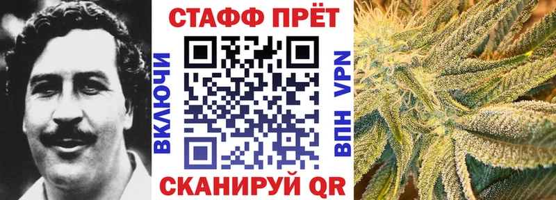 Где купить Бердск Бошки Шишки Псилоцибиновые грибы МЕФ COCAIN Альфа ПВП