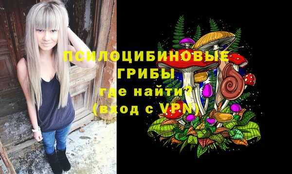 ECSTASY Алзамай