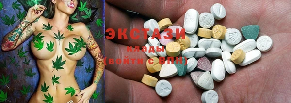 ECSTASY Алзамай