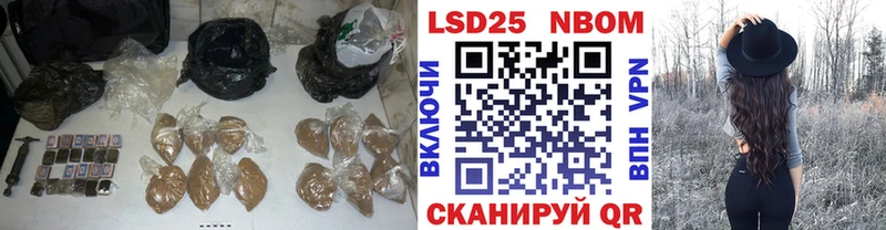 что такое   Бердск  гидра ссылки  LSD-25 экстази кислота 